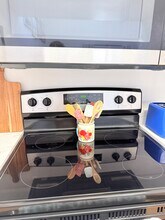 387 Knox McRae Dr in Titusville, FL - Foto de edificio - Building Photo