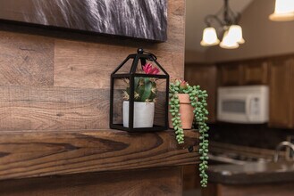 20415 Linden Tree Dr in Katy, TX - Building Photo - Building Photo