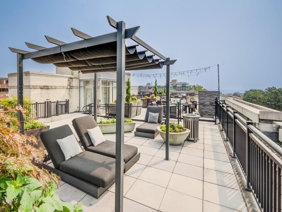 Siena Park in Arlington, VA - Building Photo