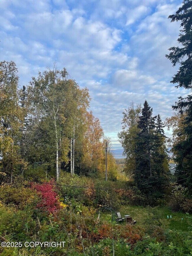 18414 Amonson Rd in Eagle River, AK - Building Photo - Building Photo