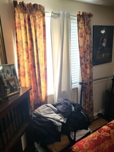 403 Cedar Ridge Ct in Oldsmar, FL - Building Photo - Building Photo