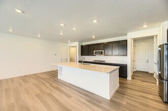 3979 Descent St in Castle Rock, CO - Building Photo - Building Photo