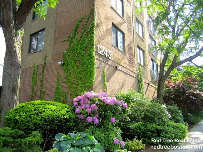 property at 1243 Beacon St