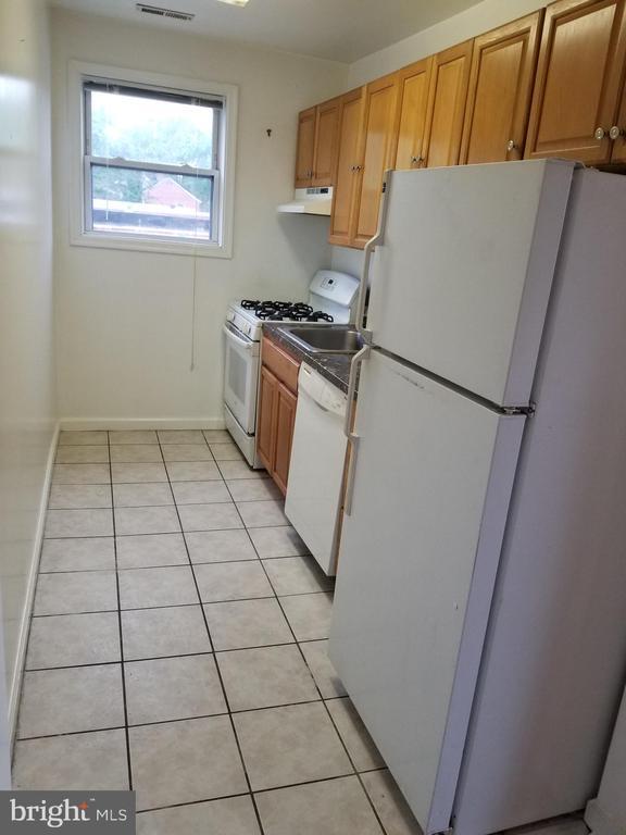 3865 Halley Terrace SE in Washington, DC - Building Photo - Building Photo