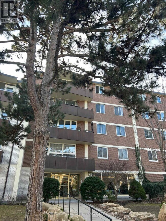 80 Coe Hill Dr in Toronto, ON - Building Photo - Building Photo