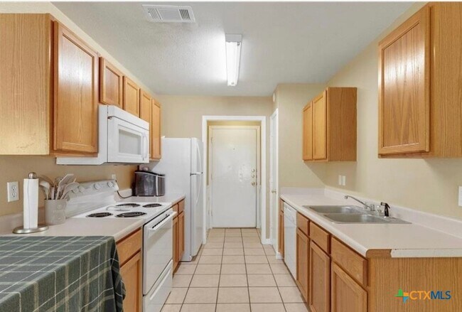 1020 Sagewood Trail in San Marcos, TX - Building Photo - Building Photo