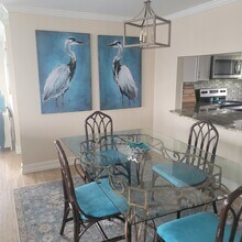 408 Tudor Dr, Unit Bimini Basin - Tudor Dr. in Cape Coral, FL - Building Photo - Building Photo