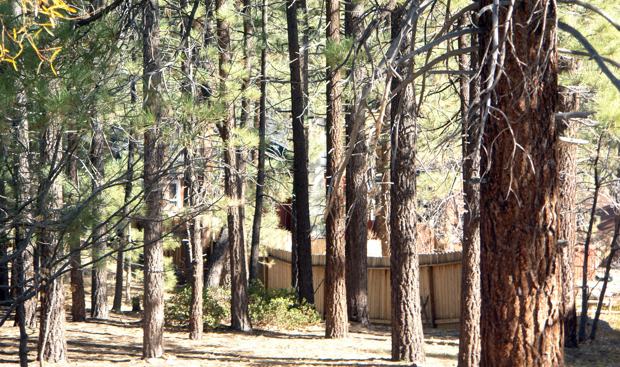 40415 Lakeview Dr in Big Bear Lake, CA - Building Photo