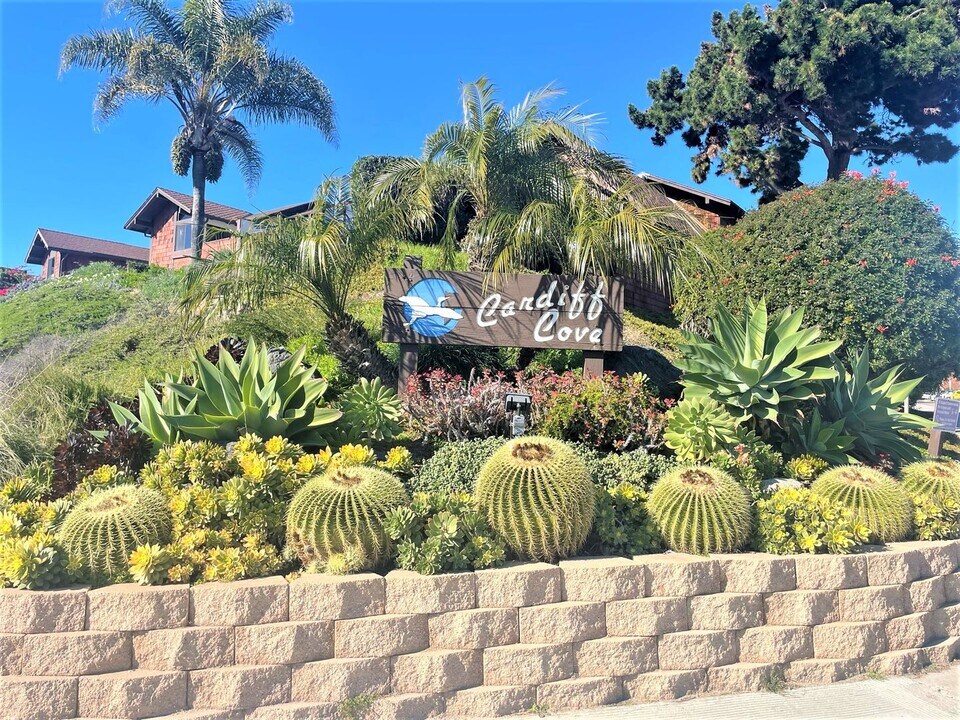 2932 Cape Sebastian Pl in Encinitas, CA - Building Photo