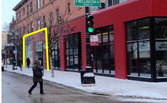 556-558 N Wellington Ave in Chicago, IL - Building Photo