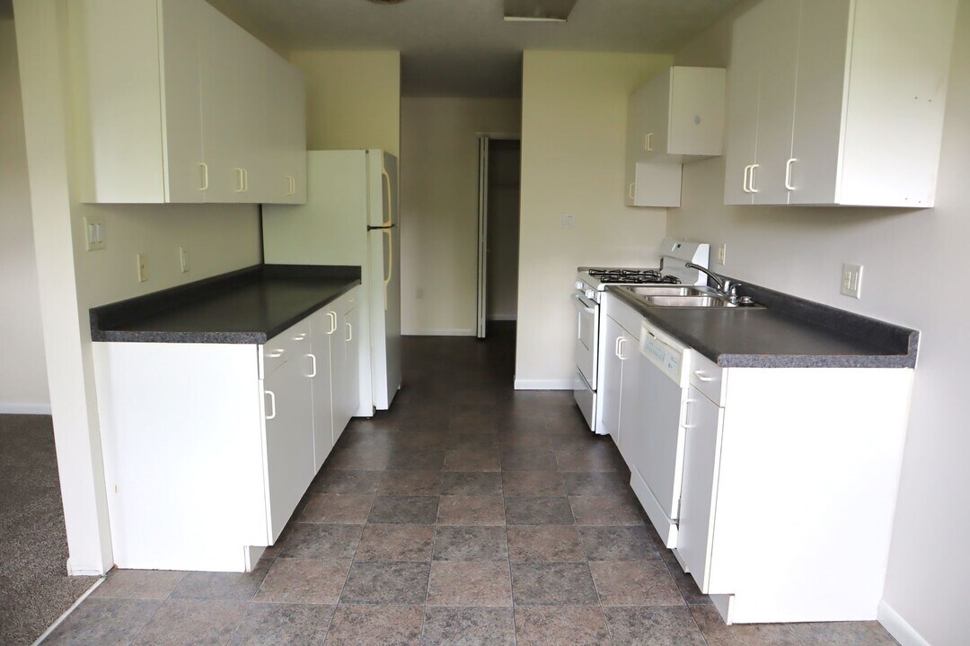 339 Grandview Ave in Indiana, PA - Building Photo