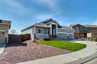 7726 Dutch Loop in Colorado Springs, CO - Building Photo