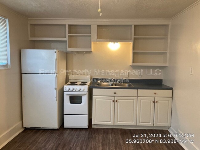 203 12th St in Knoxville, TN - Building Photo - Building Photo