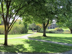 Brandywine Apartments in Amherst, MA - Building Photo - Building Photo