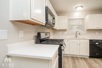 19806 Azalea Valley Dr in Katy, TX - Foto de edificio - Building Photo