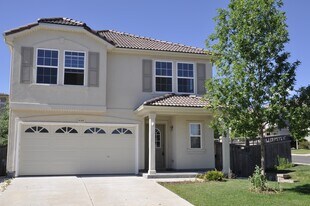 4144 Alcazar Dr in Castle Rock, CO - Building Photo