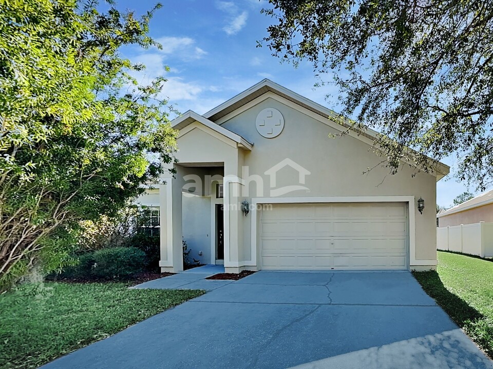 11923 Summer Springs Dr in Riverview, FL - Building Photo