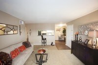 Chestnut Hill photo'