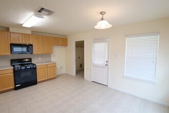 814 Rosa Del Villa Ct in Richmond, TX - Building Photo - Building Photo
