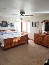 198 Anchoria Way in Colorado Springs, CO - Building Photo - Building Photo