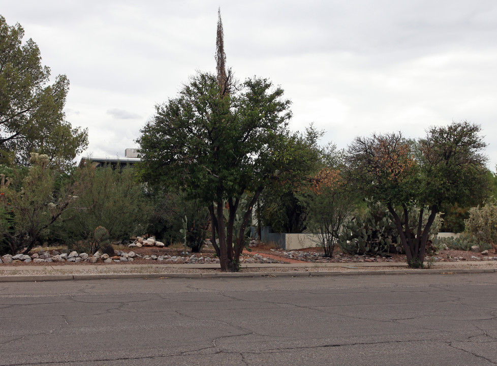 1750 E 10th St in Tucson, AZ - Foto de edificio