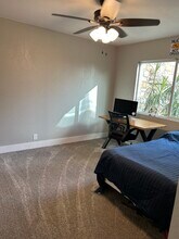 438 Eagle in Lakeway, TX - Building Photo - Building Photo