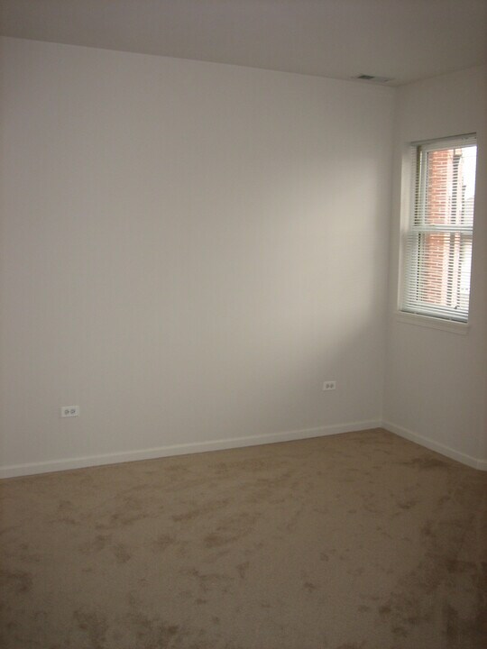 1451 S Halsted St in Chicago, IL - Building Photo