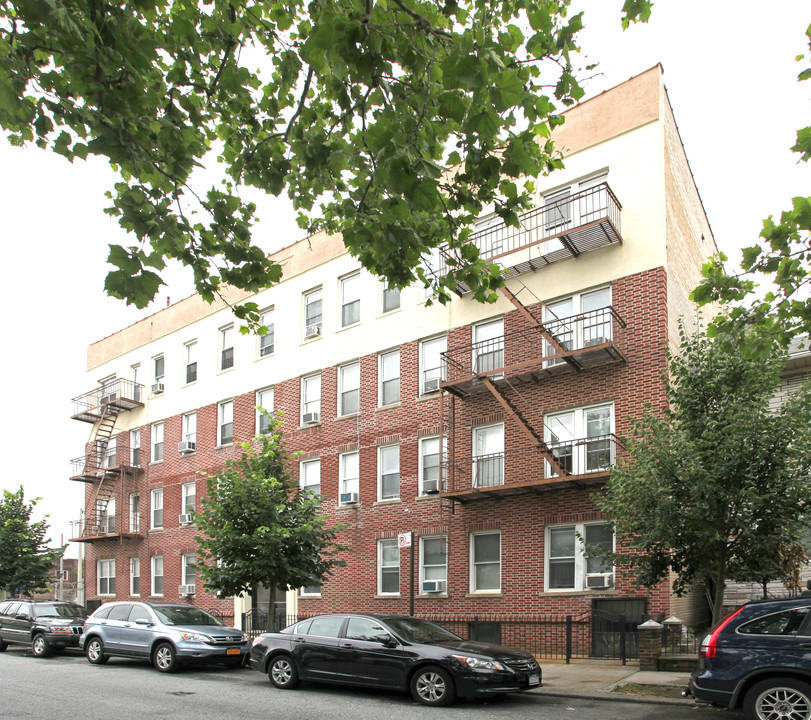 Chester Court in Brooklyn, NY - Building Photo