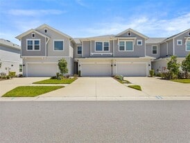 17228 Balance Cv in Land O Lakes, FL - Building Photo