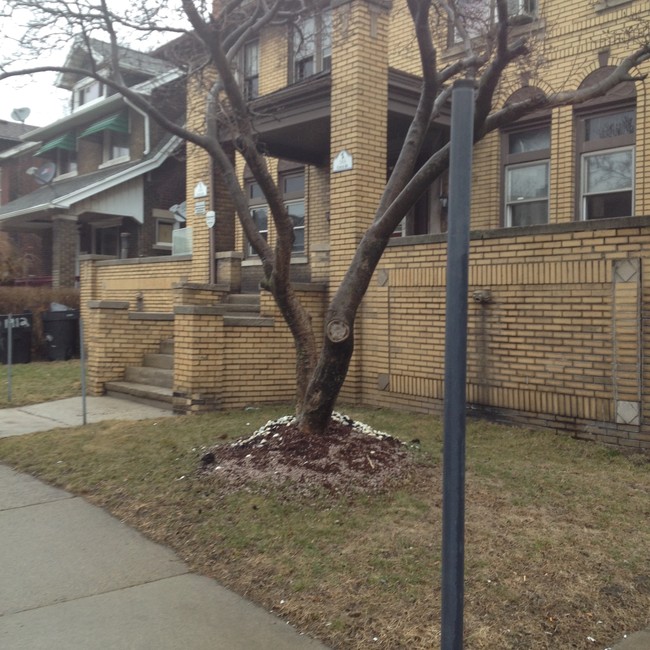 1904 Central St in Detroit, MI - Building Photo - Building Photo