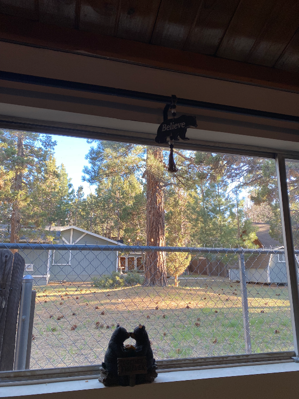 712 San Bernardino Ave in Sugarloaf, CA - Building Photo - Building Photo