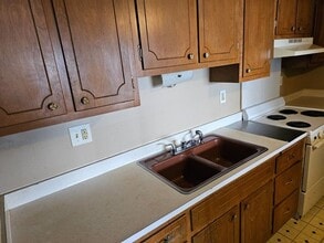 111 S Elder Ln in Decatur, IL - Building Photo - Building Photo