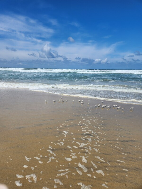 718 Coronado Ct in San Diego, CA - Building Photo - Building Photo