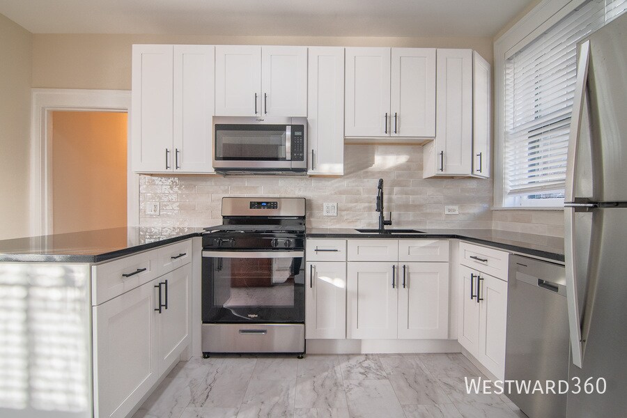 921 W Winona St-Unit -1 in Chicago, IL - Building Photo