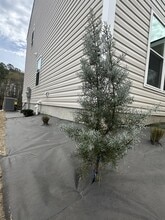 157 N Clarendon Dr in Nashville, NC - Building Photo - Building Photo