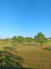 6522 Odom Dr in Sealy, TX - Building Photo - Building Photo