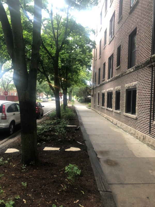 1726 W Thome Ave-Unit -2 in Chicago, IL - Building Photo - Building Photo