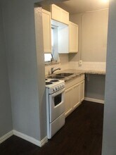 309 Hutcheson St in Houston, TX - Building Photo - Building Photo