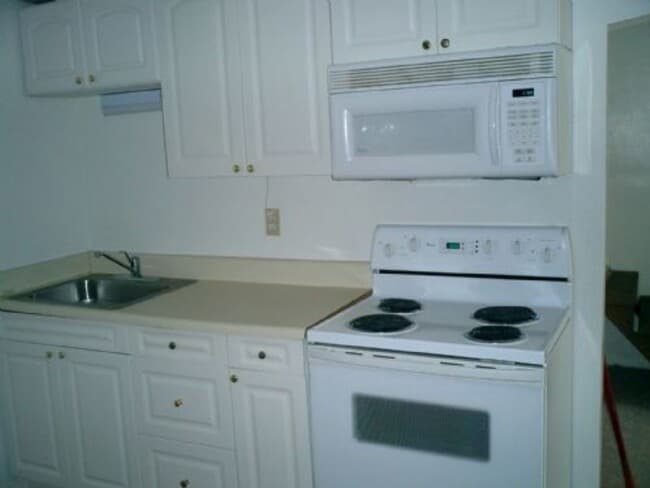319 E Pierce Ave in Orlando, FL - Building Photo - Building Photo