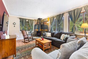 513 Co Rd 672 in Breckenridge, CO - Building Photo