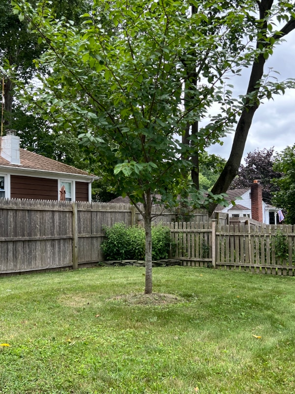 property at 33 Laurel Rd