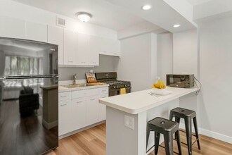 98 E Banks St in Chicago, IL - Building Photo - Building Photo