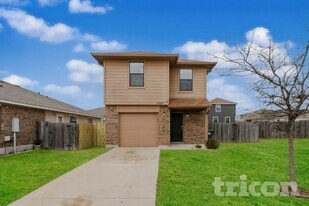 1027 Trail Driver Cove in Georgetown, TX - Building Photo