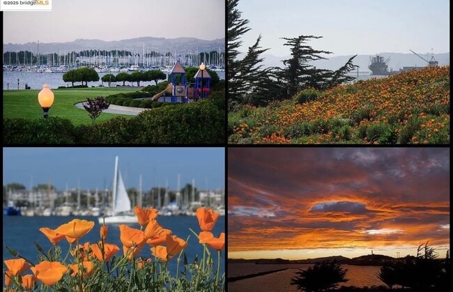 15 Shoreline Ct, Unit Coming Soon! in Richmond, CA - Building Photo - Building Photo