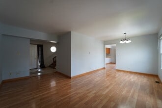 1008 Southbridge Ln in Schaumburg, IL - Building Photo - Building Photo