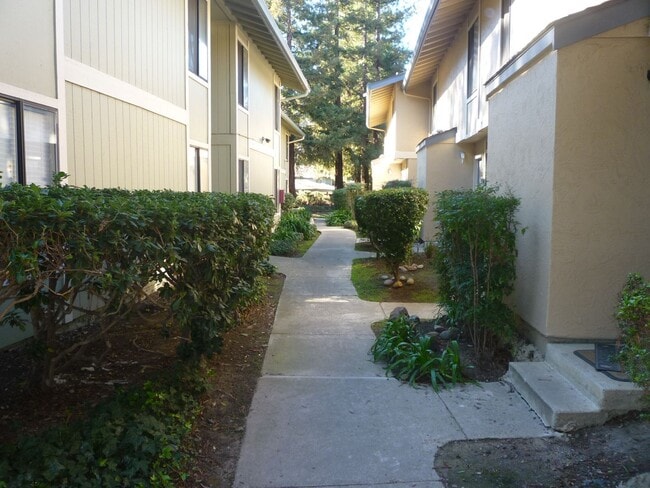 2150 Northwood Cir in Concord, CA - Building Photo - Building Photo