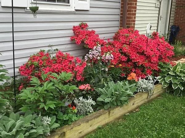 property at 153 Marlow St SW