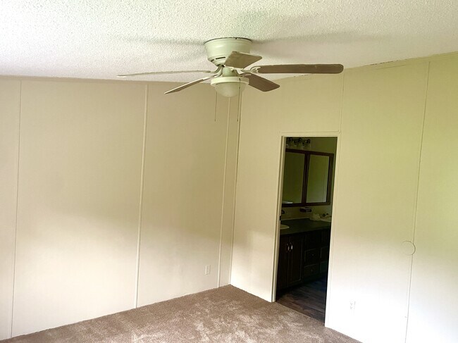 943 Collins Rd in Cleveland, GA - Building Photo - Building Photo