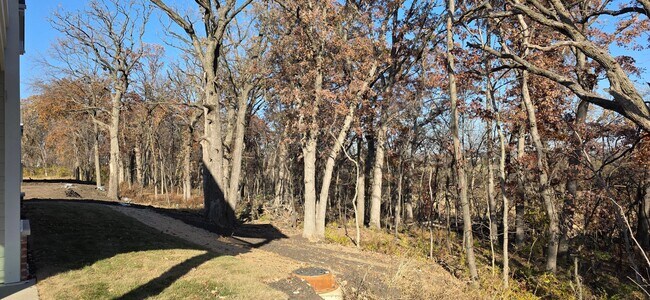 382 Timber Pointe Dr in Joliet, IL - Foto de edificio - Building Photo