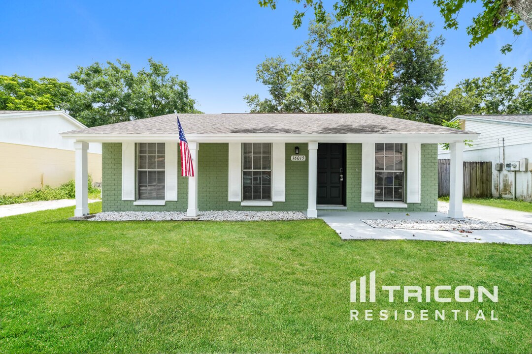 16015 Splitlog Dr in Tampa, FL - Building Photo
